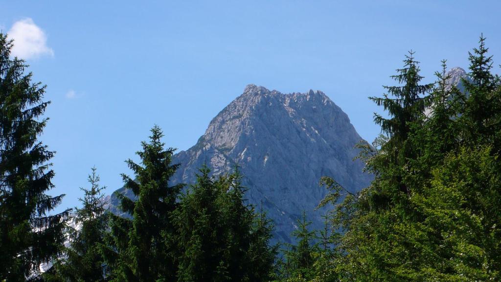 Apartmán Gaestehaus Buchenhof Grainau Exteriér fotografie